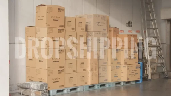 The Pros and Cons of Dropshipping for Online Entrepreneurs